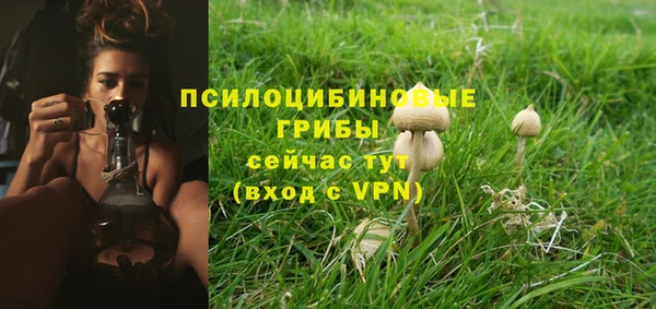 ПСИЛОЦИБИНОВЫЕ ГРИБЫ Новокубанск