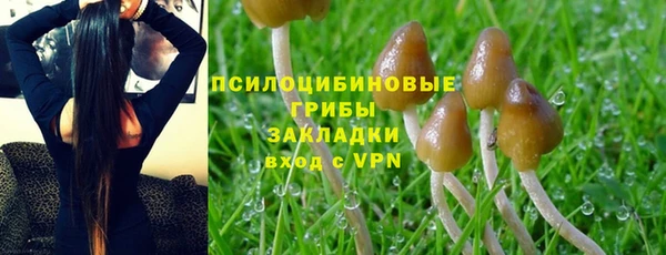 jwh Новозыбков