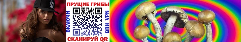 даркнет сайт  Неман  Галлюциногенные грибы MAGIC MUSHROOMS 